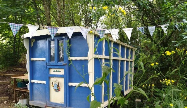 Pilgrims Shepherd's Hut - Goosewell Glynn Glamping