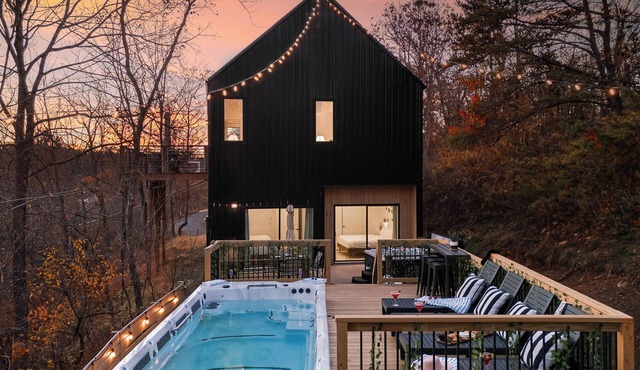 Pool & Spa Retreat Plunge + Hot Tub 12 Min to Asheville Sleeps 8