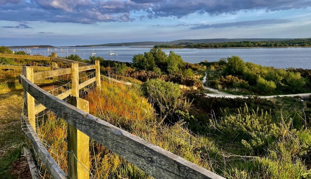 Poole Harbour View Lodge at Rockley Park