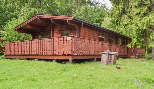 Red Kite Lodge - UK37417