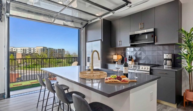 Rooftop Deck Skyline Views Downtown Penthouse