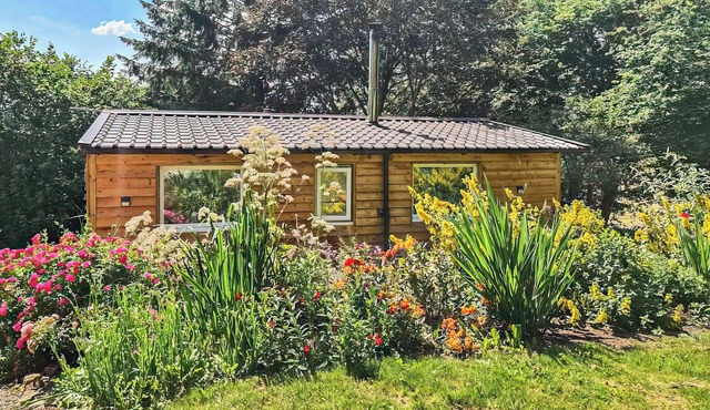 Rowan Tree Lodge - UKC6977