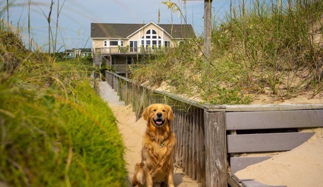 Sandy Paws | 6BR Oceanfront 4x4 OBX | Pool, Elevator & Game Room | Sleeps 14