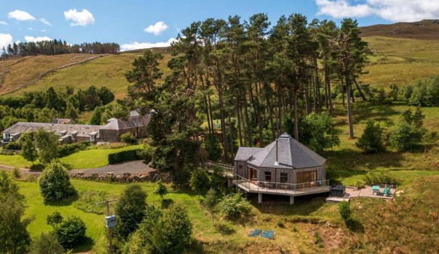 Scots Pine Treehouse