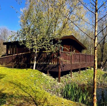Secluded Rustic Cabin - A Digital Detox Paradise.