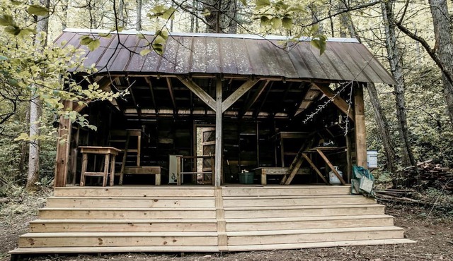 Secluded Woodland Cabin Near Waterfalls and Forest Trails in Zirconia, North Carolina