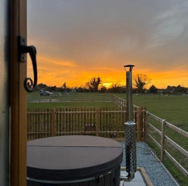 Shepherds hut surrounded by alpacas and ponies