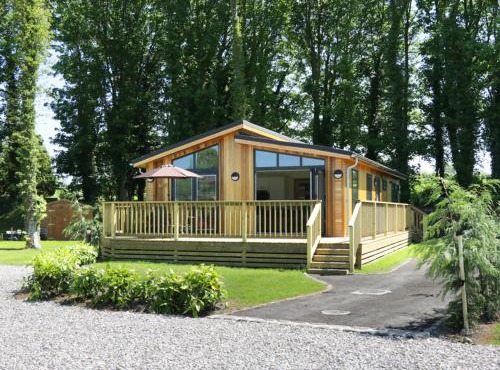 Squirrel Lodge
