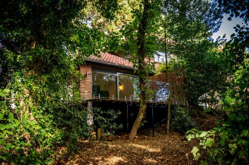 Tawny Lodge