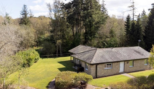 The Allensford (Pet), Hexham