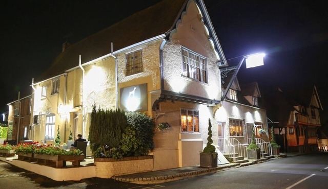 The Dog at Wingham