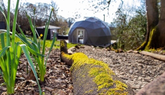 The Star Dome - Luxurious Star Gazing Retreat