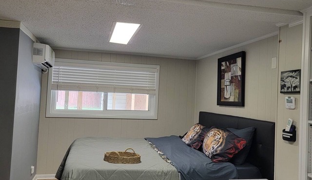 The Tiger Room. Private King Suite Near Downtown Huntsville