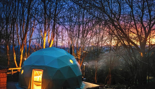 The Tree Dome - UKC6979