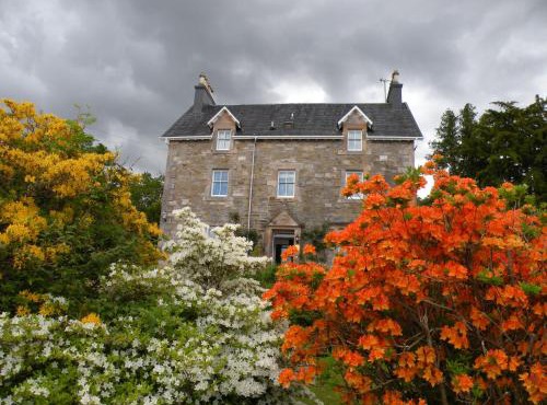 Thistle House Guest House