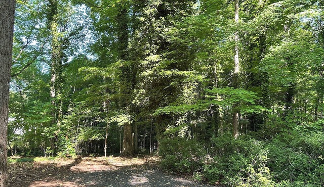 Tranquil Nature Retreat: Enjoy this Beautiful Home surrounded by Trees & Flowers