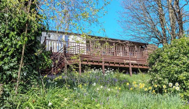 Treetops, a peaceful haven retreat only 1 mile from Bantham beach in South Devon