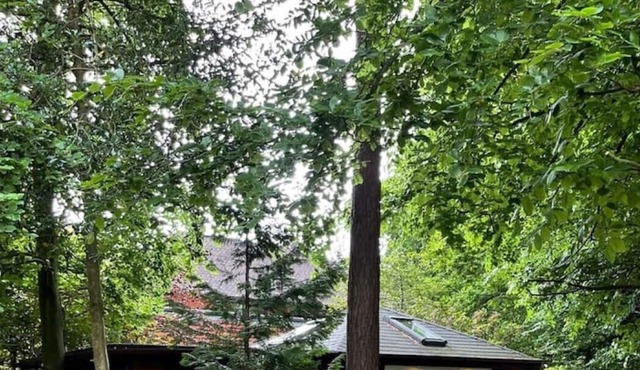 Welcome to country Lodge surrounded by trees