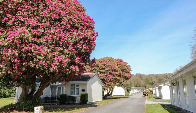 Willow Lodge
