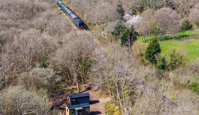 Willow’s Nest Countryside Shepherd’s Hut Retreat Near Swanage