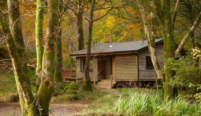 Woodland Cabins, Glencoe