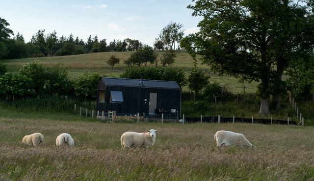 Woodland Hideaway on a Working Farm Near Snowdonia