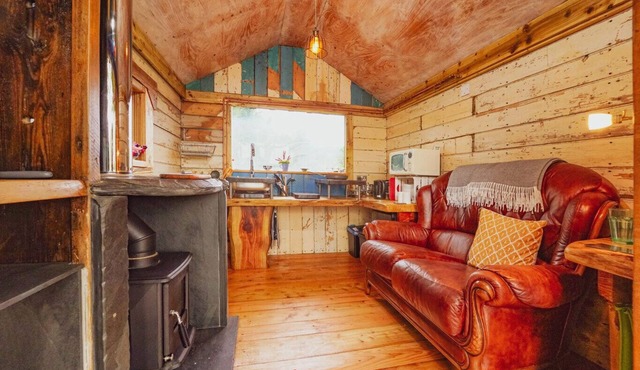 Writing Shed Wales - alpacas, views, fireplace