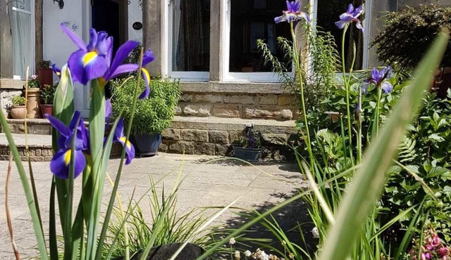 Wynnstay House