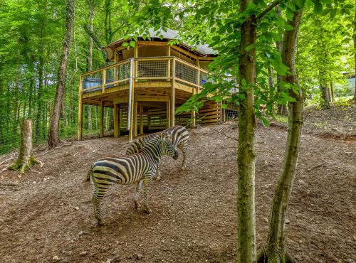 Zootastic Retreat Private Hot Tub Zoo Access