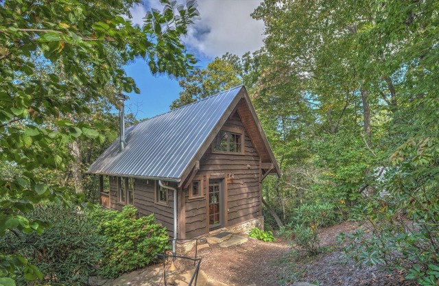 Cozy, updated cabin in Village of Cheshire/Black Mountain. Includes Biltmore!