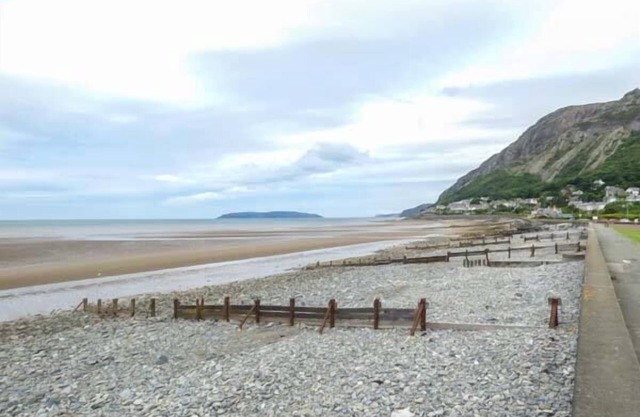 Gwylanedd 