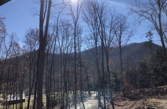 Mountain Views, Fire Pit, Minutes From Downtown Asheville