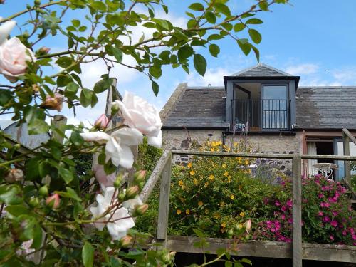 Plumtree Cottage 