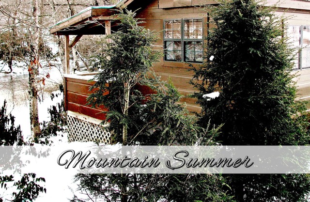 Real Logs-1BR, queen bed & futon-sleeps 4. Riverside w/ Hot Tub