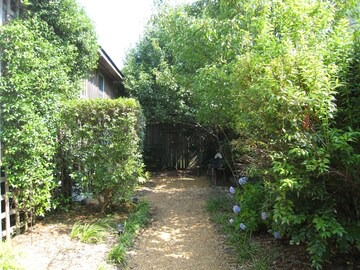 SV24: Cabana III in Ocracoke