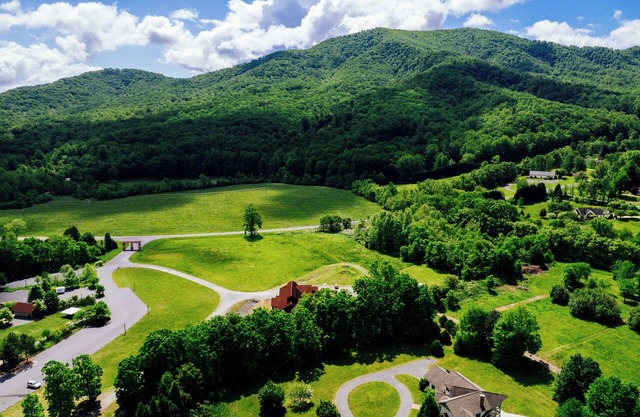 Ridges Devils Backbone Brewing Company 