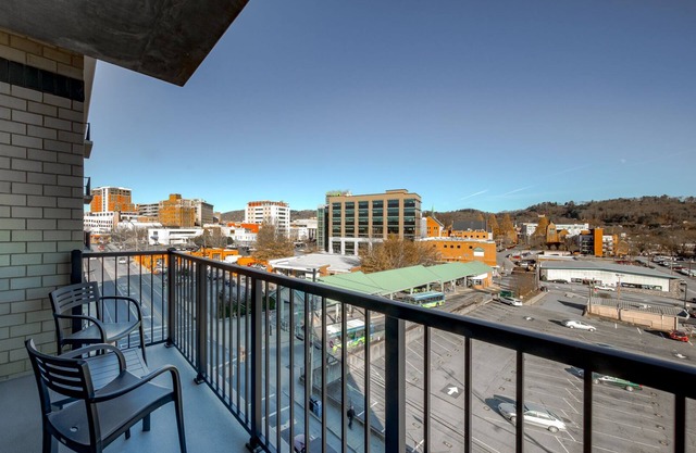 Views, Downtown Asheville, Luxury Condo!