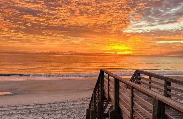 Surf City 