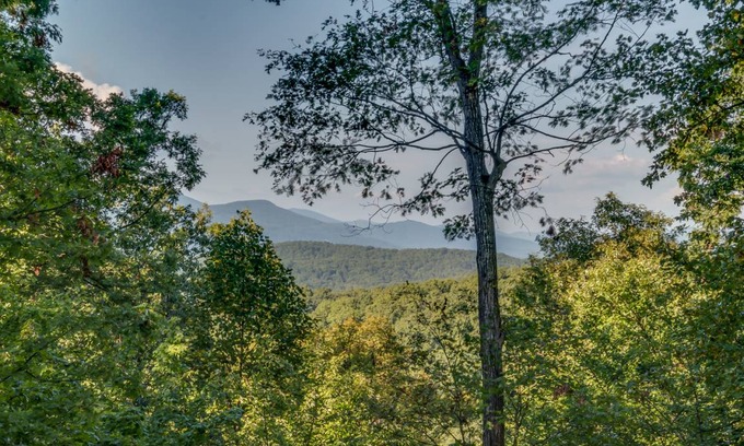 Saluda Cabin | 256 m² Cabin ∙ 4 bedrooms ∙ 8 guests