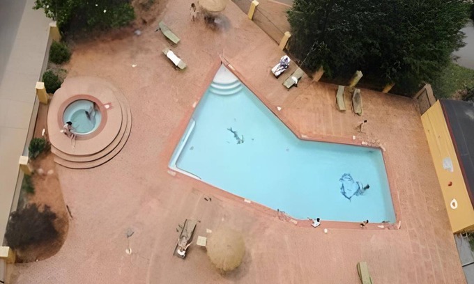 Conover Hotel | 31 m² Hotel ∙ 127 guests