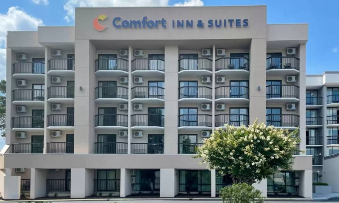 Pine Forest Hotel | 42 m² Hotel ∙ 8 guests