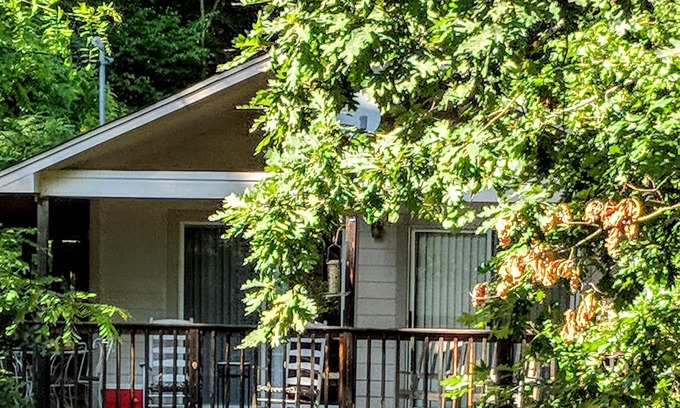 Franklin Cabin | Cabin - River Nearby - Rates ($70/Night, $400/Weekly, $1000/Monthly) WIFI
