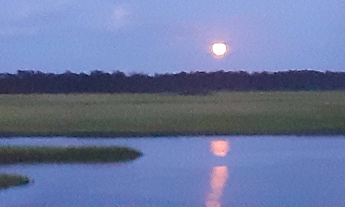 Bald Head Island Condo | Incomparable Timbercreek Marsh View plus Staircase to Loft Bedroom