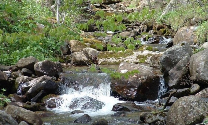 Bakersville Cottage | Laurel Creek Cottage -Creekside/Near Roan Mountain (rate includes cleaning fee)