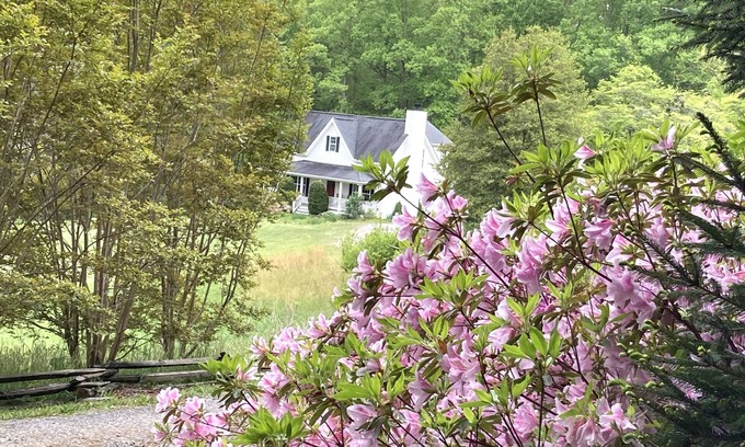 Fairview Other | Quiet retreat minutes from breweries, hiking, and Biltmore