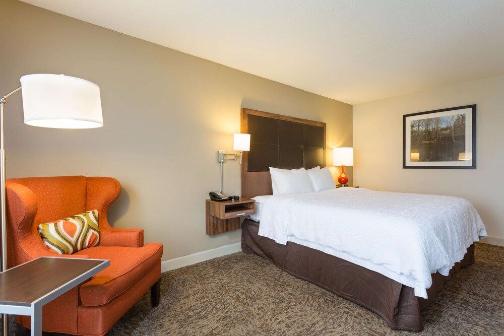 Photo of Bedroom in Havelock