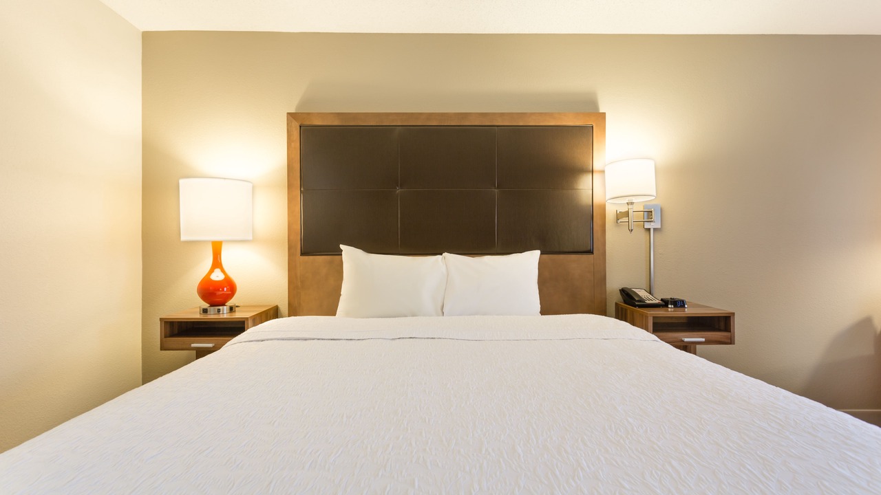 Photo of Bedroom in Havelock