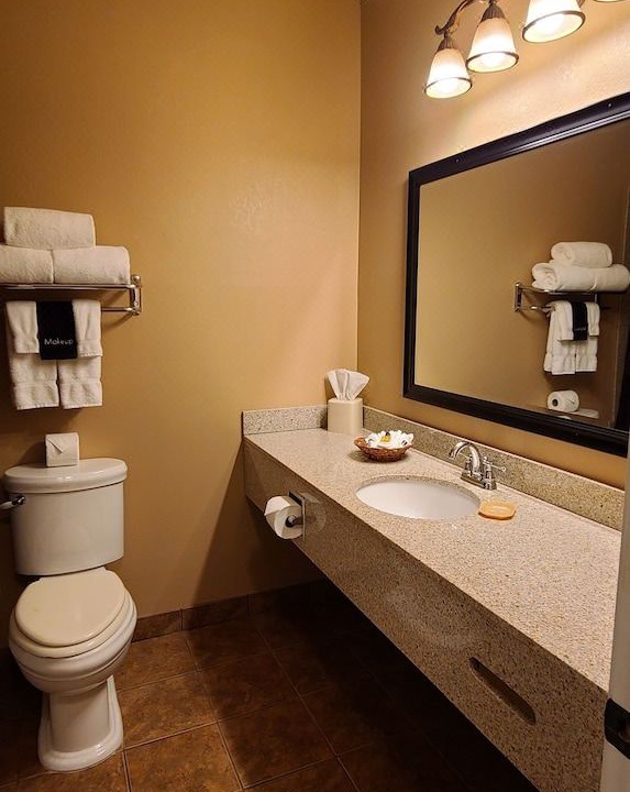 Photo of Bathroom in Flat Rock