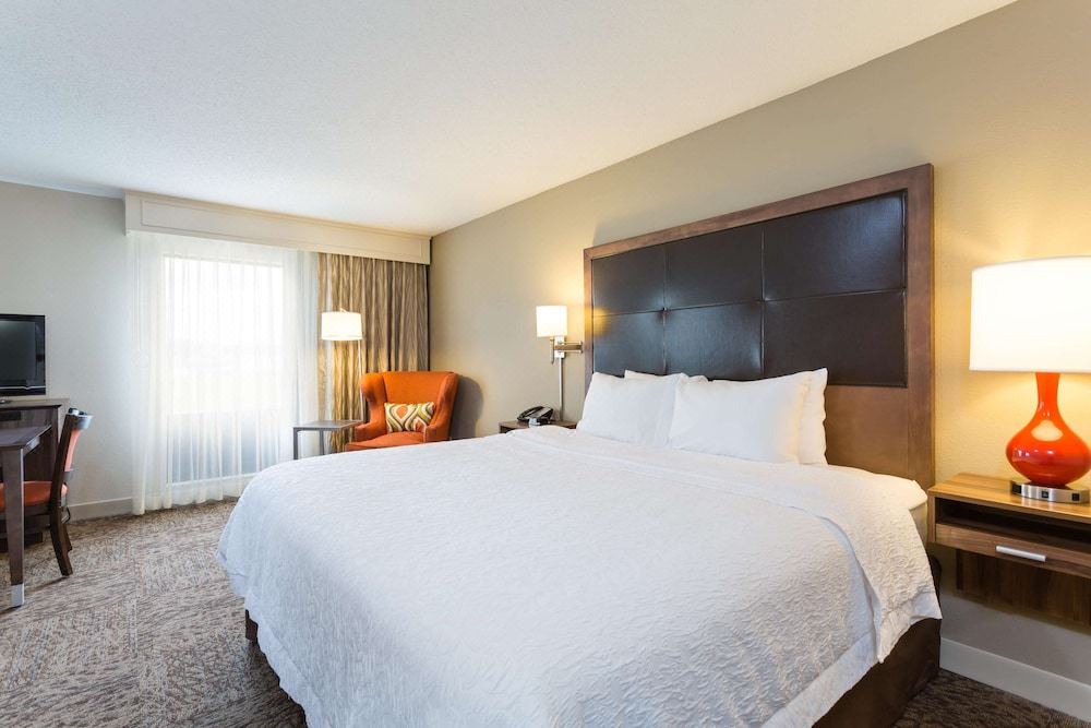 Photo of Bedroom in Havelock
