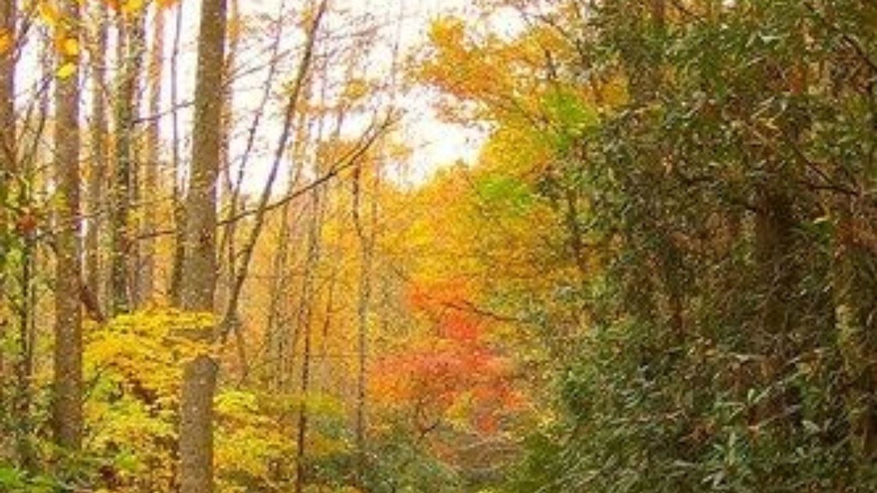 Photo of Outdoor in Robbinsville